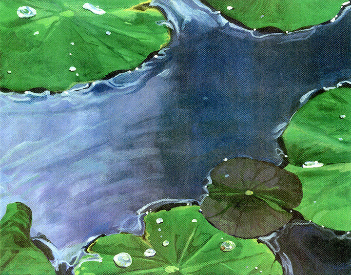 Bali - Lily Pads