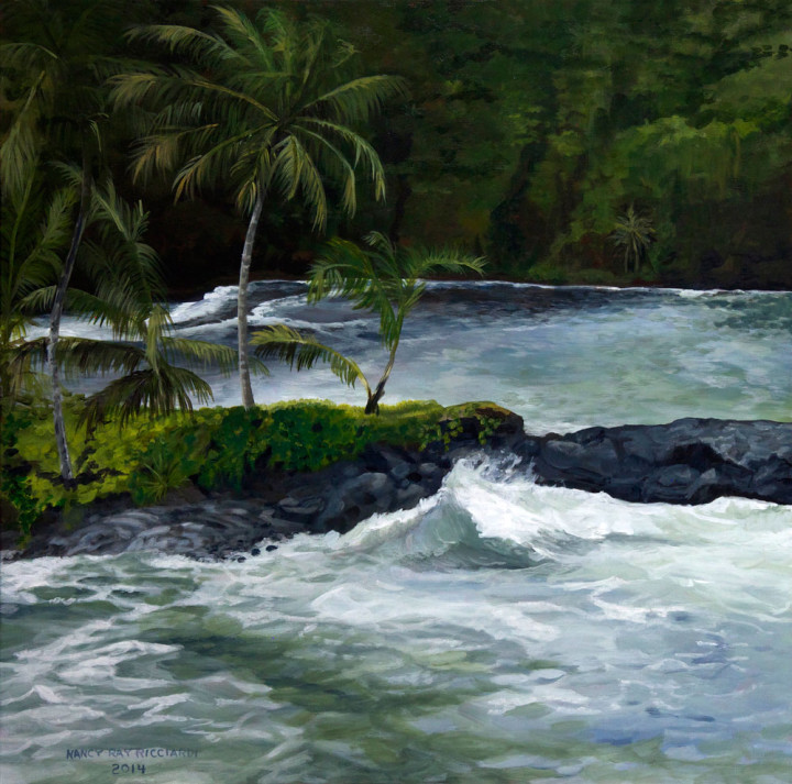 Hawaii - Onamea Bay