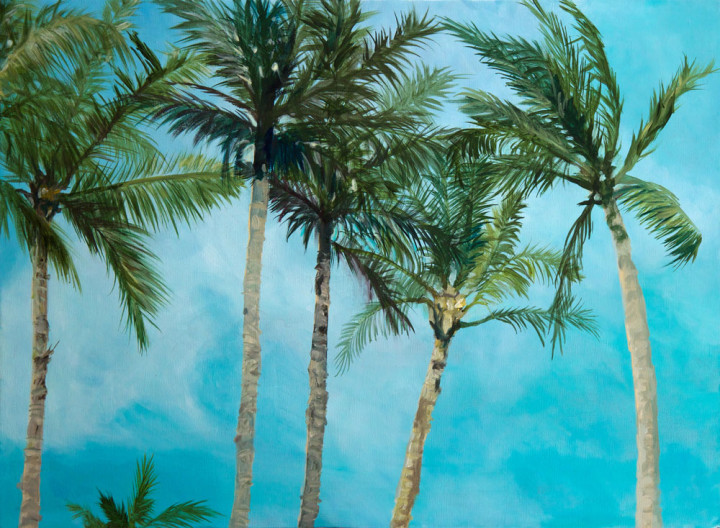Hawaii - Triptych Part I