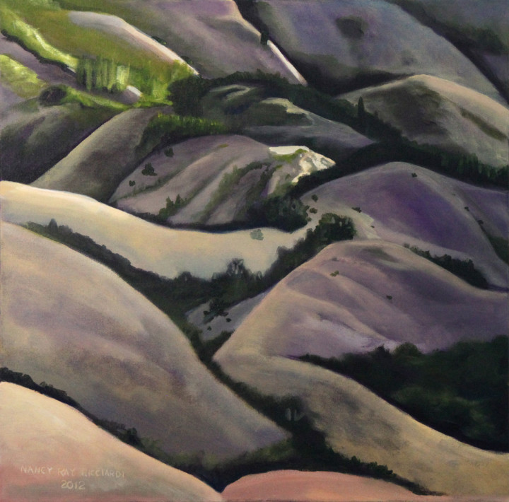 Sonoma County - Above Lake Sonoma II