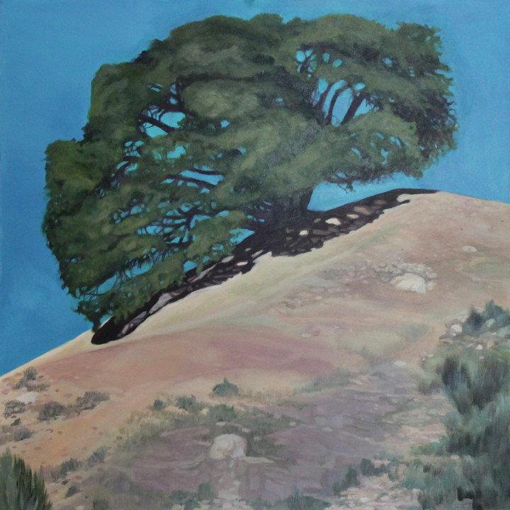 Cooley Ranch - Balance Is Everything