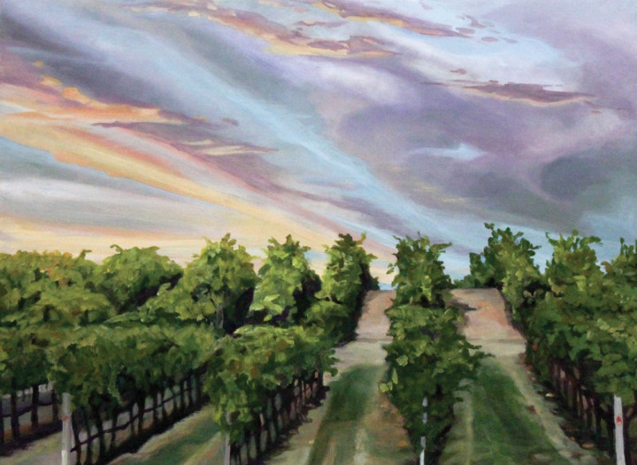 Sonoma County - Sunset