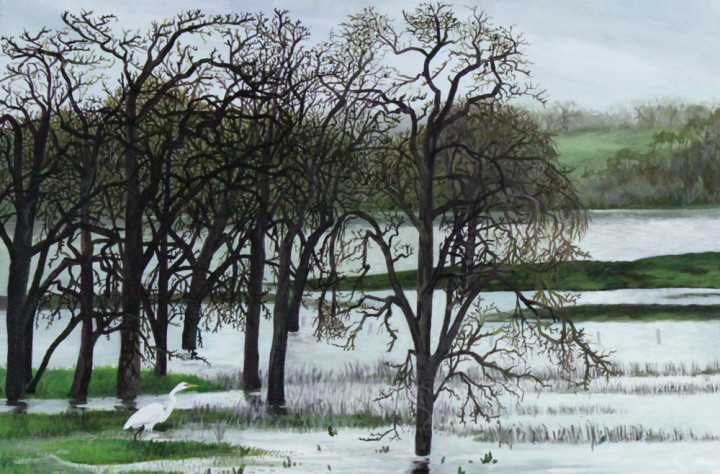 Laguna de Santa Rosa - Winter