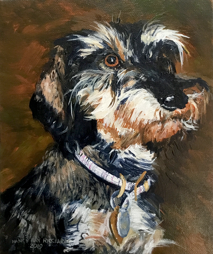 Augie
