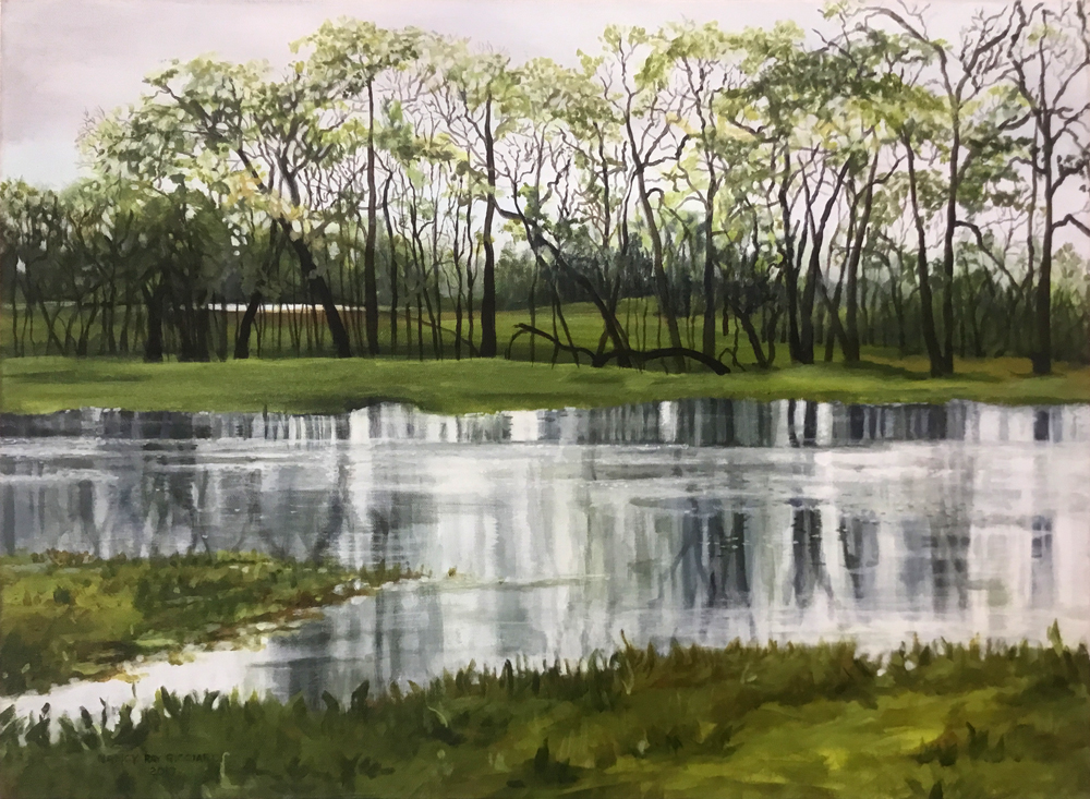 Laguna de Santa Rosa